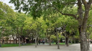 Jardin des Anges ouvert 3