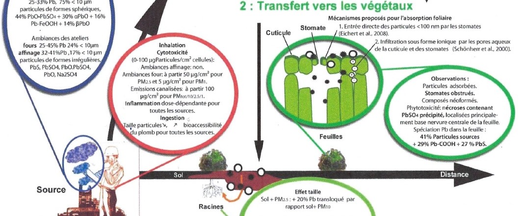 INFO FLASH DU 10/03/2023