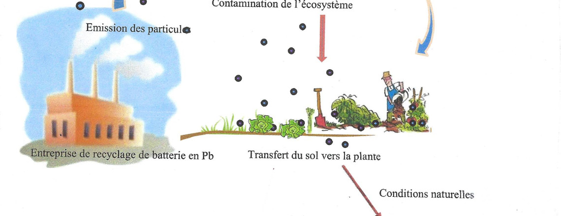 INFO FLASH DU 19/07/2023